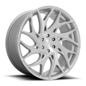 S261 G.O.A.T. - 24 inch - 10.00 - Silver brushed face